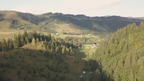 Vista Aérea Las Montañas Los Cárpatos Verano Cerca Aldea Dzembronya — Vídeos de Stock