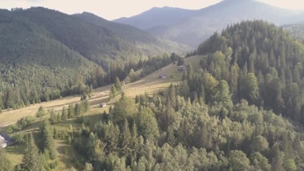 Flygfoto Till Sommaren Karpaterna Nära Dzembronya Byn Ukraina — Stockvideo