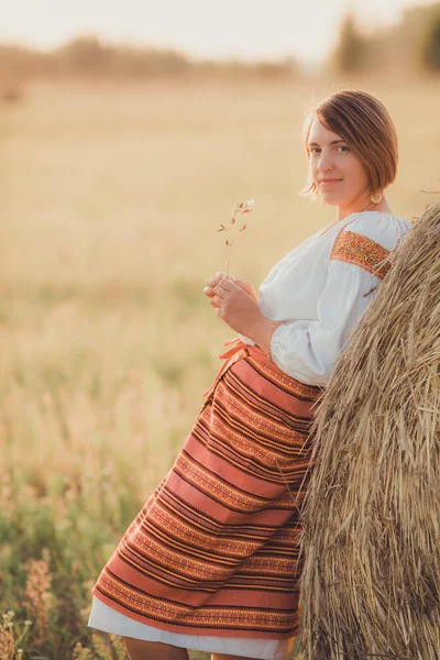 Dívka Vyšívané Oblečení Poli Pozadí Zapadajícího Slunce Pojetí Krajiny Životní — Stock fotografie