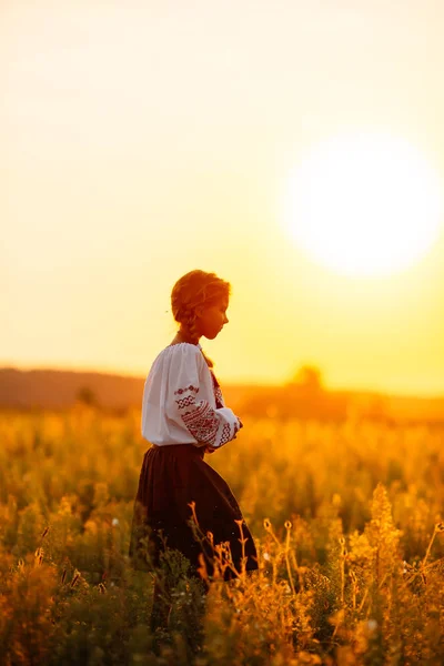 一个穿着绣花衣服的女孩沿着田野走在夕阳的背景下 乡村生活的观念 民族传统 — 图库照片