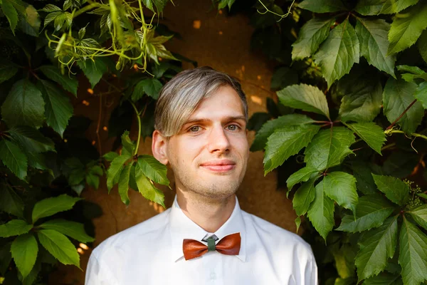 Portrait of the groom with a bow tie against a background of green ivy.