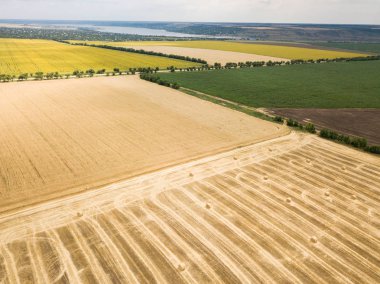 Ayçiçeği ve buğday alanları ile yol boyunca dron hava en iyi görünüme