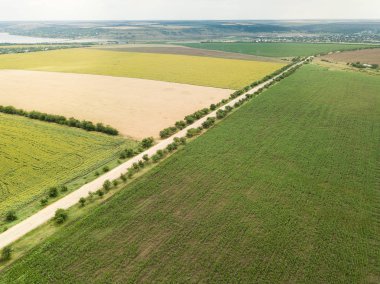 Ayçiçeği ve buğday alanlarına ile yol boyunca hava üstten görünüm dron üzerinden? Odesa region, Ukrayna
