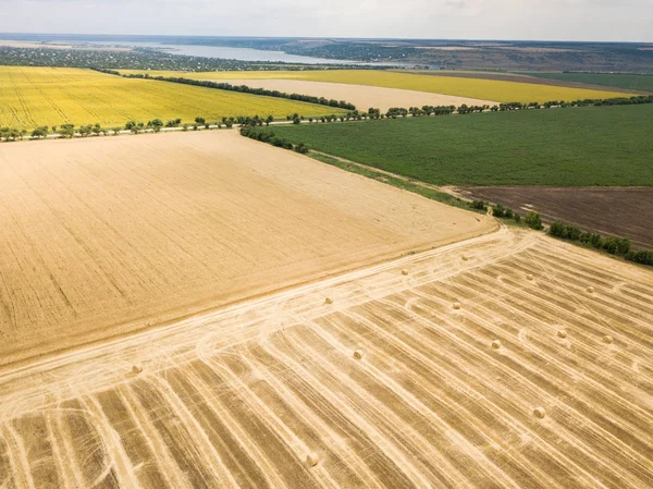 Ayçiçeği ve buğday alanları ile yol boyunca dron hava en iyi görünüme