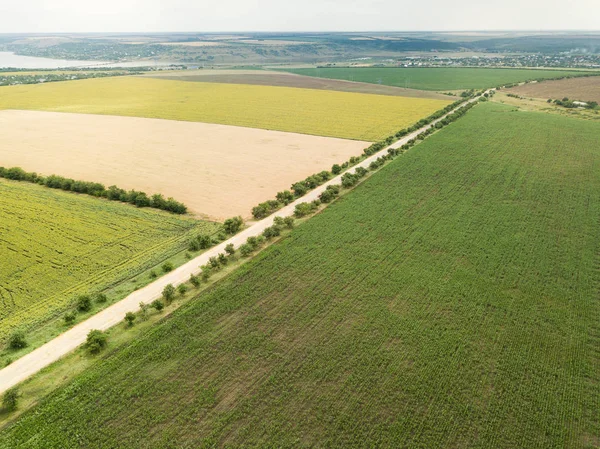 Ayçiçeği ve buğday alanlarına ile yol boyunca hava üstten görünüm dron üzerinden? Odesa region, Ukrayna
