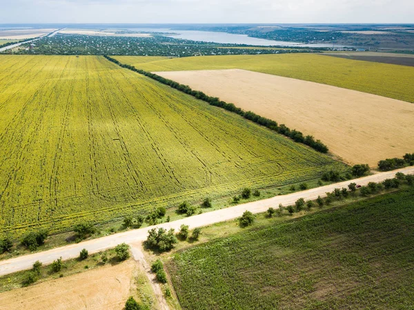 Ayçiçeği ve buğday alanlarına ile yol boyunca hava üstten görünüm dron üzerinden? Odesa region, Ukrayna