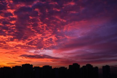 Uçan kuşlar, Ukrayna ile kentsel gün batımı manzarasına Kiev üzerinde