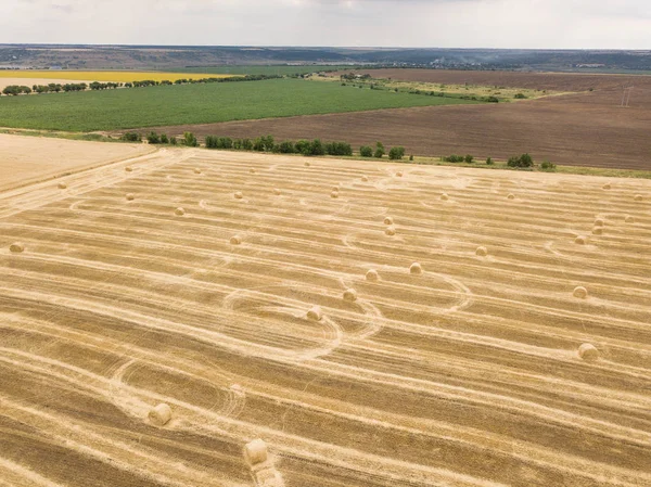 Yaz aylarında saman balya olan hasat alana hava üstten görünüm