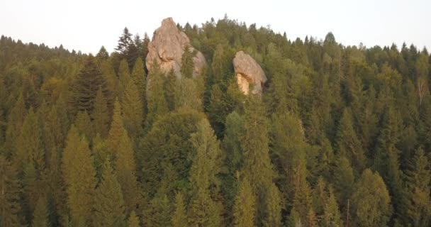 Πετούν Την Κηφήνας Στο Όμορφο Rock Skolevski Beskydy Κοντά Από — Αρχείο Βίντεο