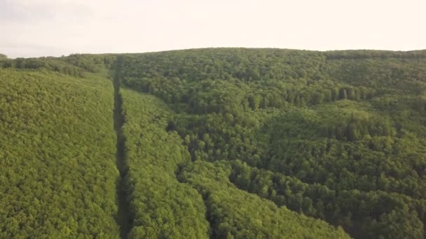 Bukk Dağları Milli Parkı Macaristan Hava Dron Görünümüne — Stok video