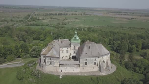 鸟瞰从无人驾驶飞机到历史城堡和公园在 Olesko 著名乌克兰游览 利沃夫地区 乌克兰 — 图库视频影像