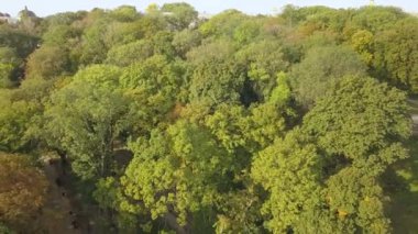 St. Volodymyr şehir park Volodymyrska Girka, Kiev Rus baptist heykeli için havadan görünümü Ukrayna Kiev şehir bir sembolüdür