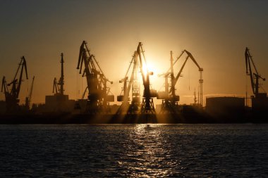 Birçok büyük vinçler siluet gündoğumu Altın ışık, limanda suya yansıyan. Berdiansk, Azak Denizi, Ukrayna