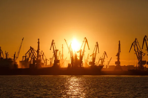 许多大起重机在金色的日出光反映在水中的港口剪影 Berdiansk Azov Sea 乌克兰 — 图库照片