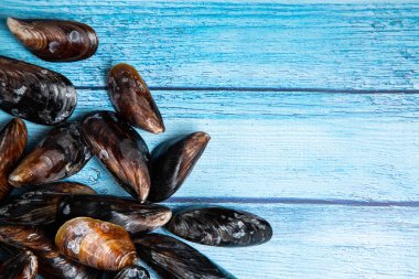 Metin için yer ile mavi ahşap vintage artalan üzerinde taze çiğ midye