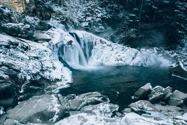 Cachoeira Inverno Kameneckiy Nas Montanhas Dos Cárpatos Ucrânia — Fotografia de Stock