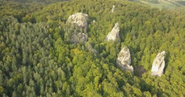 Dovbush kayalarda Bubnyshche - efsanevi bir yer, güzel doğal ormanları, turist ve gezginler Doğu Avrupa ve Ukrayna ile popüler ortasında fantastik kayalar eski mağara manastırda için havadan görünümü