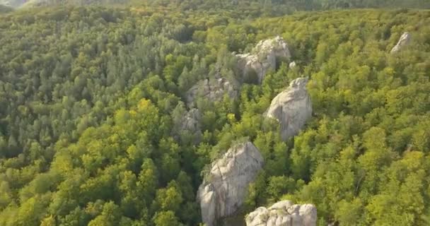 伝説的な場所 観光客や東ヨーロッパ ウクライナの旅行者に人気のある美しい風光明媚な森林に囲まれた幻想的な玉石で古代の洞窟修道院の Bubnyshche Dovbush 岩を空撮 — ストック動画