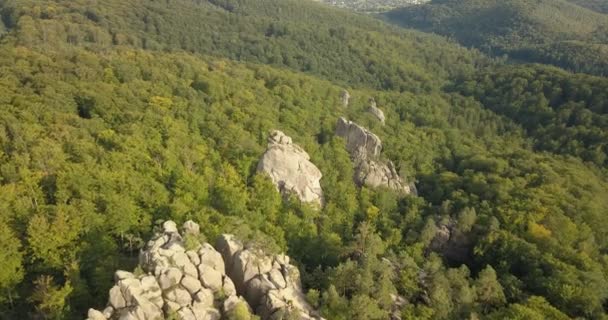 伝説的な場所 観光客や東ヨーロッパ ウクライナの旅行者に人気のある美しい風光明媚な森林に囲まれた幻想的な玉石で古代の洞窟修道院の Bubnyshche Dovbush 岩を空撮 — ストック動画