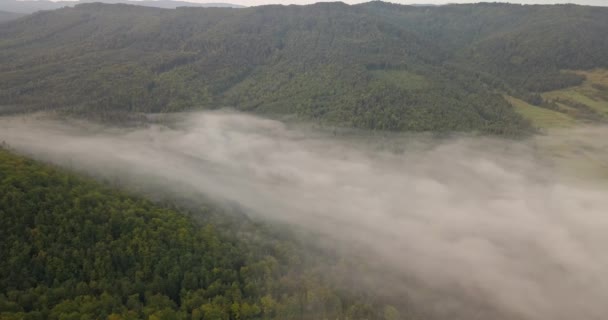 Widok Lotu Ptaka Mglisty Poranek Słoneczny Carpathian Forest Strzał Ukrainie — Wideo stockowe
