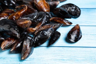 Metin için yer ile mavi ahşap vintage artalan üzerinde taze çiğ midye