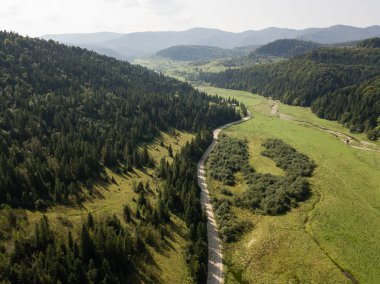Dağlar ve yukarıdan yakalanan orman yolu