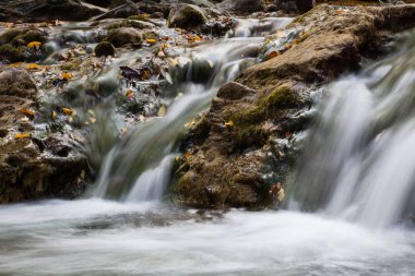 Şelale Kosyvskiy Huk Karpat Dağları, Ukrayna