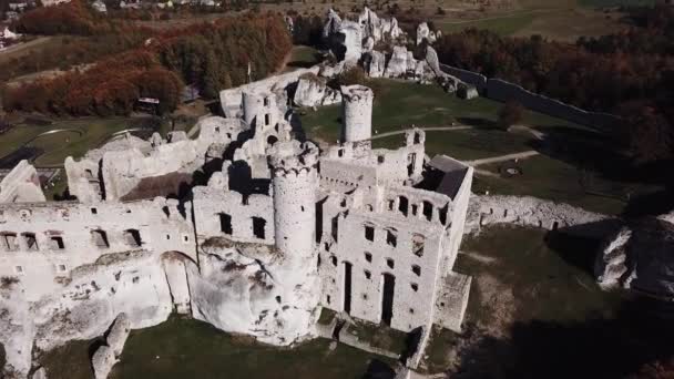 Luftaufnahme Von Der Drohne Den Ruinen Der Mittelalterlichen Burg Auf — Stockvideo