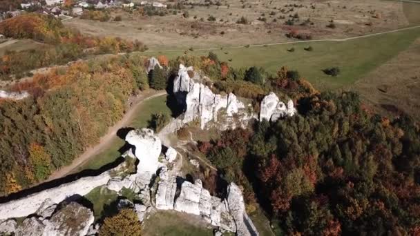 Luchtfoto Van Drone Naar Ruïnes Van Middeleeuws Kasteel Rots Ogrodzieniec — Stockvideo