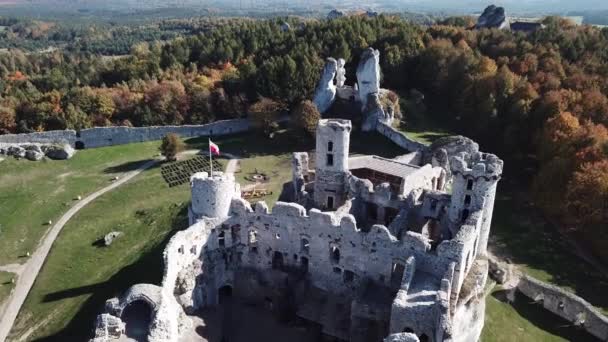 Flygvy Från Drone Till Ruiner Medeltida Slott Klippan Ogrodzieniec Polen — Stockvideo