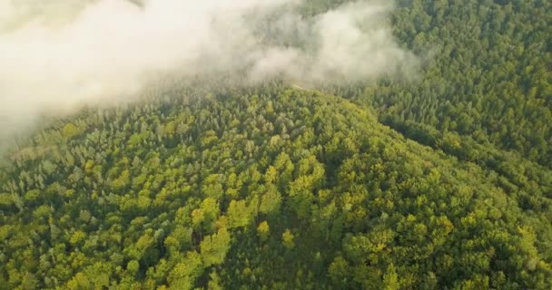 Gün Doğumunda Bubnyshche Dovbush Kayalar Havadan Görünümü Güzel Doğal Ormanlar — Stok video