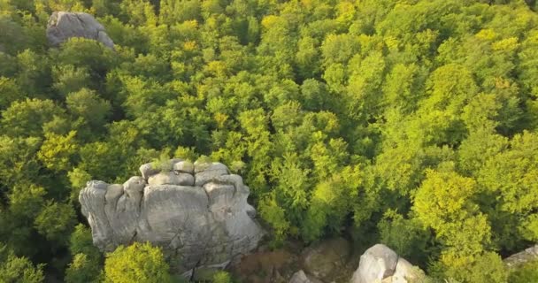 Vue Aérienne Vers Dovbush Rocks Bubnyshche Lever Soleil Ancien Monastère — Video
