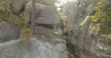 Gün doğumunda Bubnyshche Dovbush Kayalar havadan görünümü - güzel doğal ormanlar ve Karpatdağları, Ukrayna ortasında fantastik kayalar antik mağara manastır