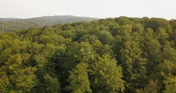 Vue aérienne vers Dovbush Rocks à Bubnyshche au lever du soleil - ancien monastère rupestre dans des rochers fantastiques au milieu de belles forêts pittoresques et des montagnes des Carpates, en Ukraine 