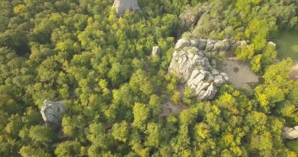 日の出時にブブニシュチェのドブブッシュ岩への航空写真 美しい風光明媚な森とカルパティア山脈 ウクライナの中で幻想的な岩の古代洞窟修道院 — ストック動画