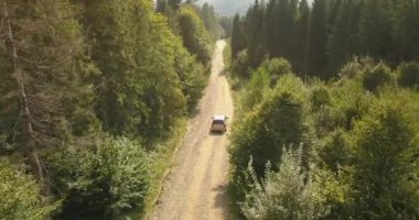 Orman ve dağlarda kırsal yolda araba sürüş havadan görünümü. Araba boyunca sürüş