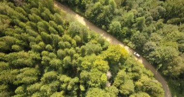 Orman ve dağlarda kırsal yolda araba sürüş havadan görünümü. Araba boyunca sürüş