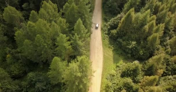 Vista Aérea Carro Que Conduz Estrada País Floresta Nas Montanhas — Vídeo de Stock