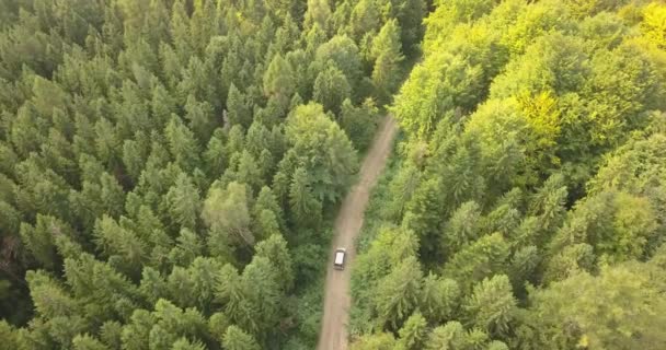 Вид Повітря Автомобіль Їде Сільській Дорозі Лісі Горах Автомобіль Рухається — стокове відео