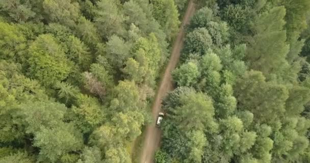 Vue aérienne de la voiture conduite sur route de campagne dans la forêt et les montagnes. Voiture conduisant le long 