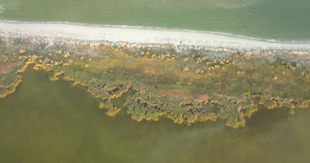 Veduta aerea del Parco Naturale Nazionale Tuzly estuario vicino alla costa del Mar Nero, Ucraina — Video Stock