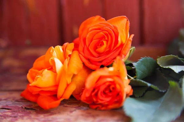 Ramo Rosas Colores Sobre Fondo Naranja — Foto de Stock