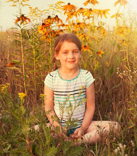 Niña Cinco Años Campo Verano Con Flores —  Fotos de Stock