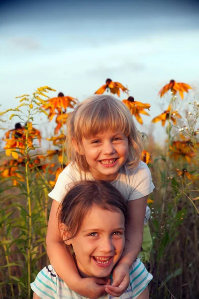 six and four  years old girls on   summer field with flowers