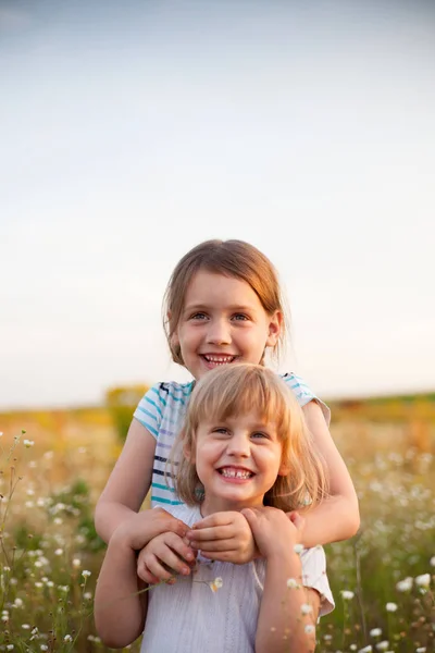 six and four  years old girls on   summer field with flowers