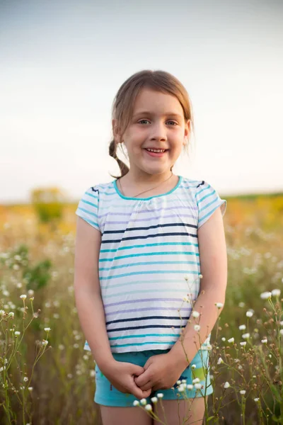 6岁的女孩在夏天的领域与花 — 图库照片