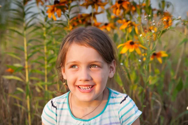 小女孩的画像在夏天草甸 — 图库照片