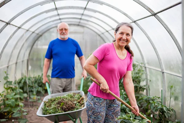 Köy kulübesinin kale kapısında olgun bir çift.