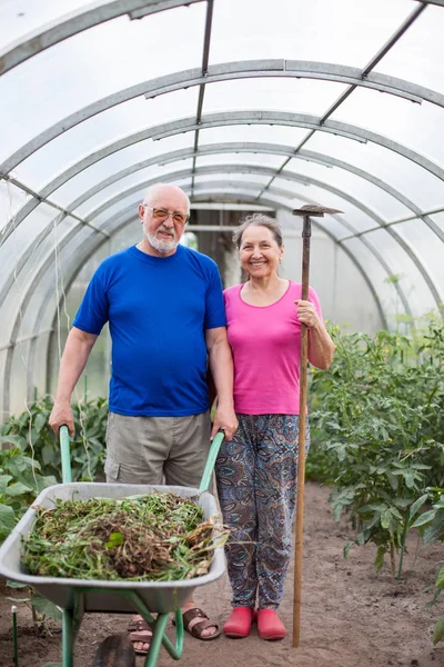  Köy kulübesinin kale kapısında olgun bir çift.