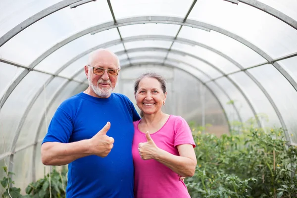  Köy kulübesinin kale kapısında olgun bir çift.